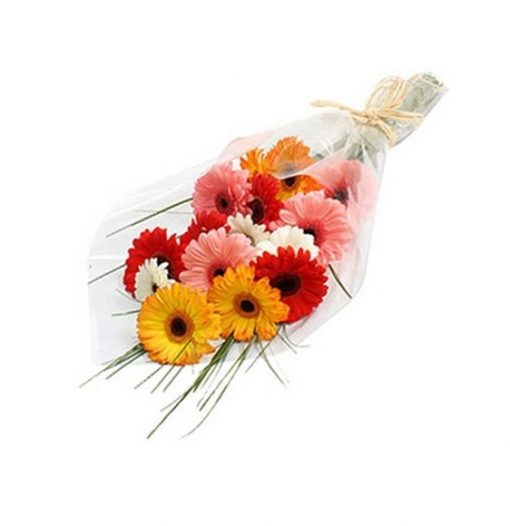 Mixed Beautiful Gerberas: A vibrant and colorful bouquet perfect for spreading joy and cheer on any occasion.