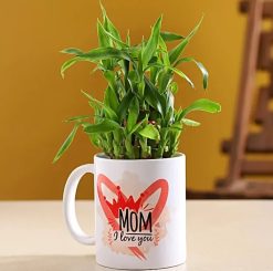 Bamboo Plant In 'I Love You Mom' Mug: A thoughtful gift to express love and appreciation for Mom's unconditional support.