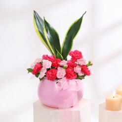 Beautiful Carnation and Snake Plant Harmony arrangement in a decorative vase, perfect for gifting or home decor.