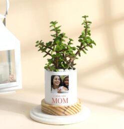 Personalized Jade Plant in ceramic planter, perfect for Mother's Day gift.
