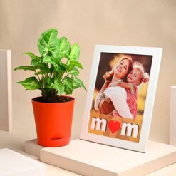 Mom's Love Syngonium Plant & Frame: A heartfelt gift capturing memories and celebrating love and growth for any occasion.