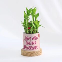 Personalized two-layered bamboo plant in a decorative pot, perfect for Mother's Day gift.