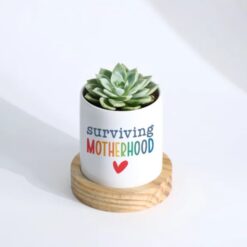 Image of an elegant Echeveria succulent in a charming planter, perfect for Mother's Day gifting.