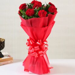 Bouquet of red carnations, symbolizing love and passion, perfect for expressing affection and admiration on any occasion.